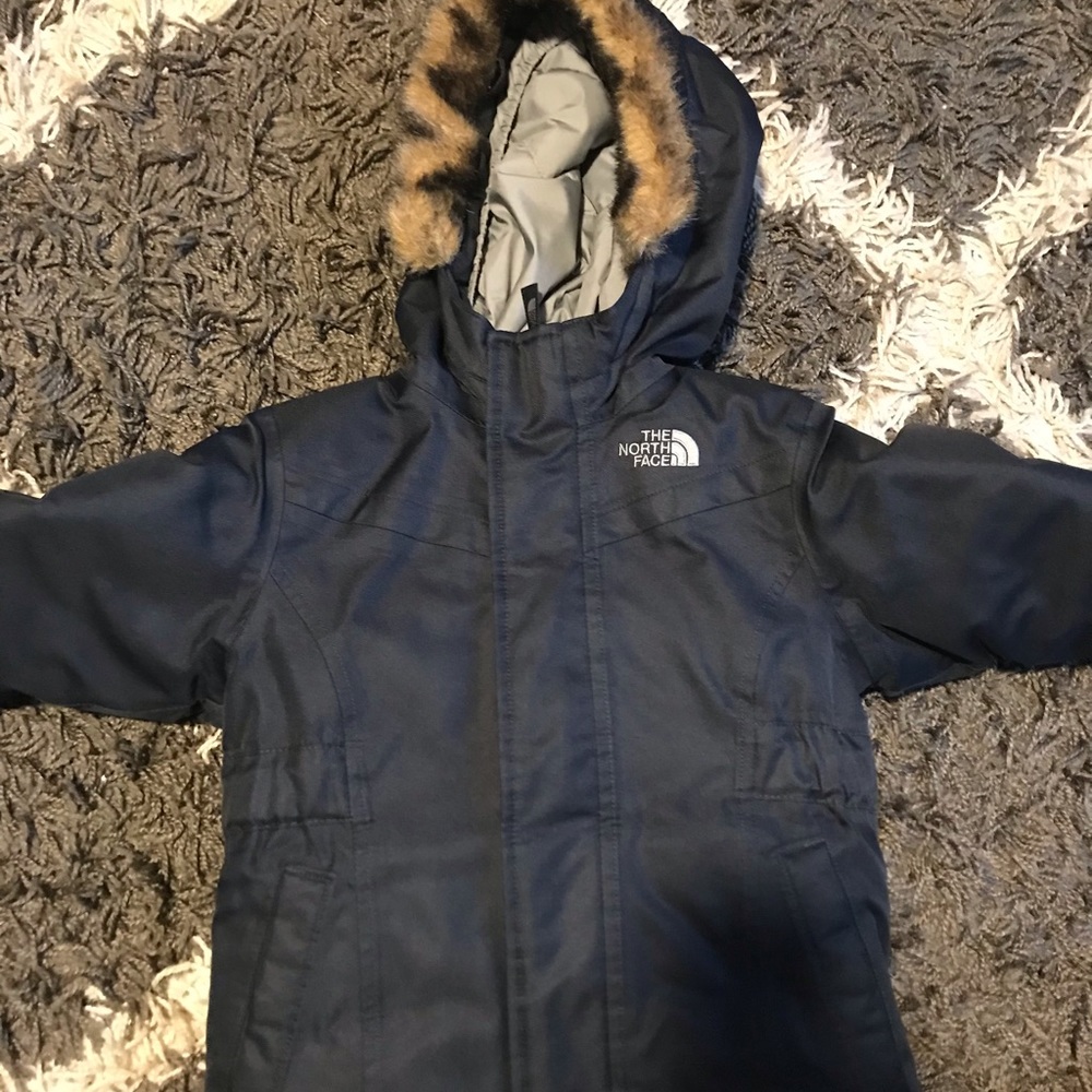 North face Greenland down parka